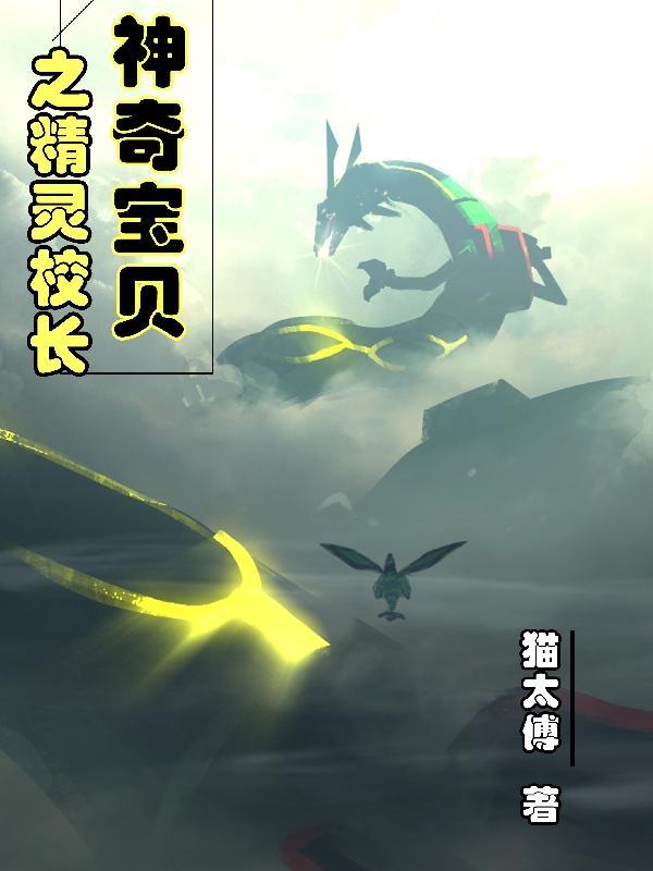 神奇宝贝之精灵掌控者全文免费阅读