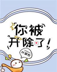 你被开除了叶斐