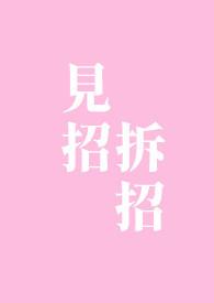 见招拆招栏目剧在线观看