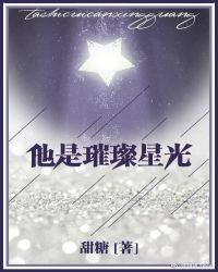 他是璀璨星光 无防盗章