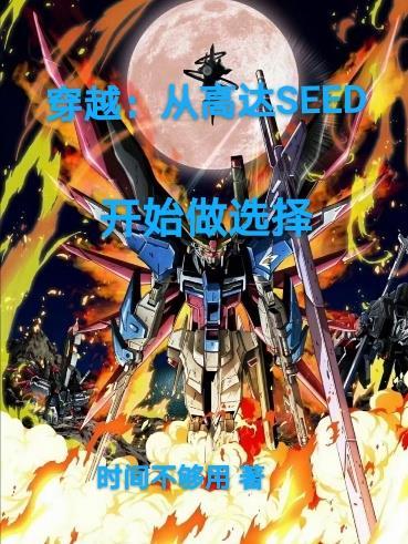 主角穿越高达世界