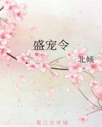 盛宠令北倾全文免费阅读苏锦棉
