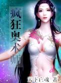 霍格沃茨的奥术师
