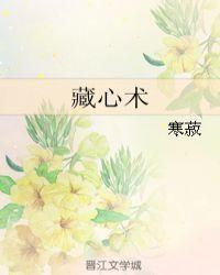 藏心术全集免费观看