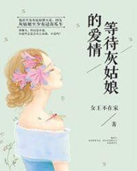 等待灰姑娘的爱情番外