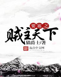 要塞2盗贼有什么用
