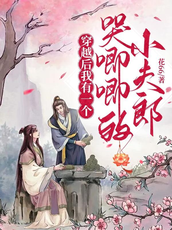 穿越后我有一个哭唧唧的小夫郎书评