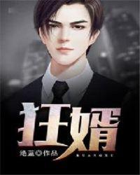 极品狂婿