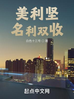 美利坚名利双收完整版
