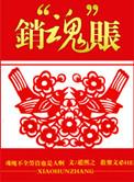 销魂账/口袋账