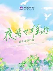 夜莺 ma