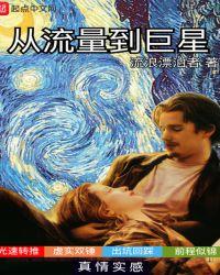从流量到巨星txt