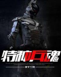 特种兵魂穿70陆丰