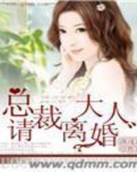 总裁大人请离婚雪衣王