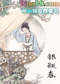古言银瓶春