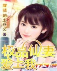 极品仙姿免费阅读全文