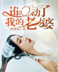 谁动了我的老婆完整版