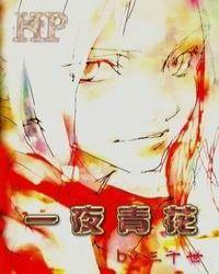 夜青花瓷 粤语