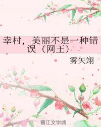 辛村美丽是一种错误网王