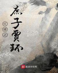 红楼之庶子贾环笔趣阁