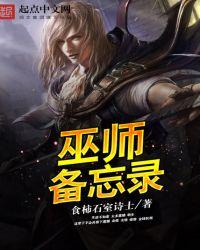 巫师备忘录 顶点