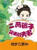 二两银子买来的夫君男主跟王爷