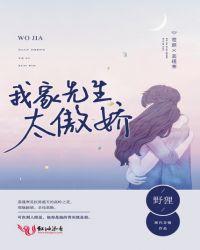 我家先生太傲娇晋江