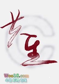 共生有理数对规律