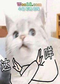 翻身仗意思