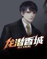 龙潜香城txt
