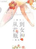 重生花瓶记