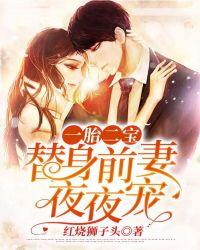 一胎二宝亿万总裁的替孕宠妻