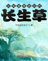 始皇求取长生药打一生肖