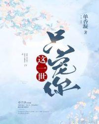 这一世换我宠你全文免费阅读无弹窗