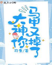 大神你马甲又掉了 司唐