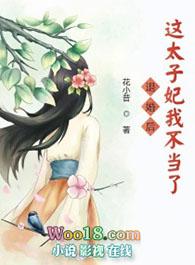 退婚后这太子妃我不当了免费阅读