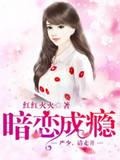 暗恋成瘾by清冷全文免费