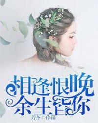 相逢恨晚全文免费阅读