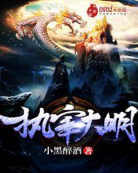 执宰大明完整版
