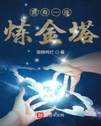 我有一座炼金塔txt平板