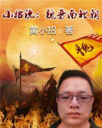 魏晋南北朝什么