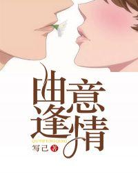 曲意逢情全文免费