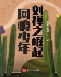 网瘾少年刘禅之崛起百度