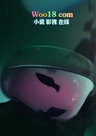 红碎价格