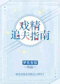 戏精太子追妻日常讲的什么