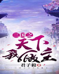 三国之天下我做主免费阅读