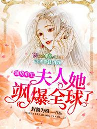 夫人飒爆全球了免费