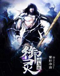 龙御九霄完整版