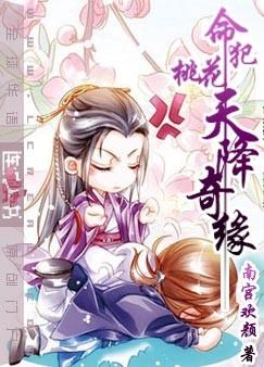 电视连续剧天降奇缘