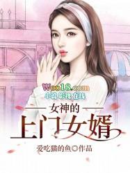女神的上门女婿作者嘲笑者